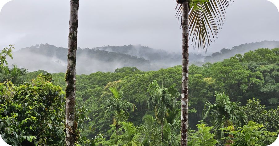 Nirvana Tara Farm