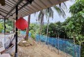 Nirvana Tara Farm